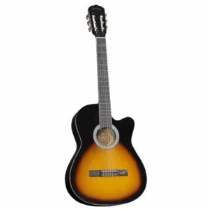 Guitarra Acústica Fender Redondo