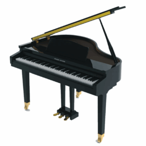 Piano Digital Pearl River GP1100 PE